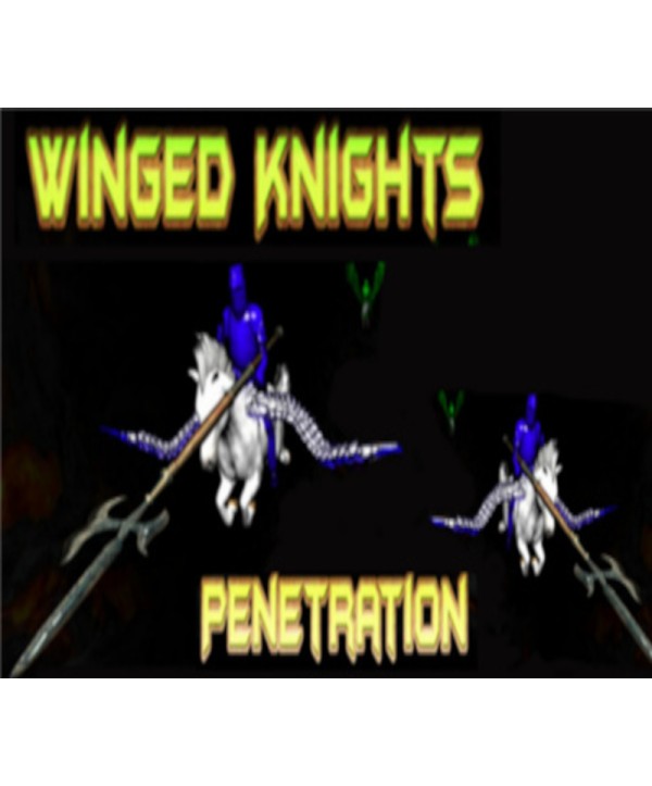 Winged Knights: Penetration Steam Key GLOBAL